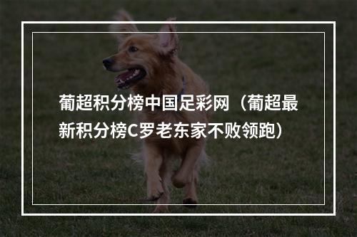 葡超积分榜中国足彩网（葡超最新积分榜C罗老东家不败领跑）