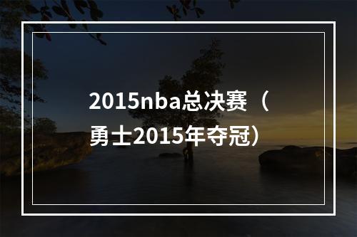 2015nba总决赛（勇士2015年夺冠）