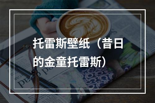 托雷斯壁纸（昔日的金童托雷斯）