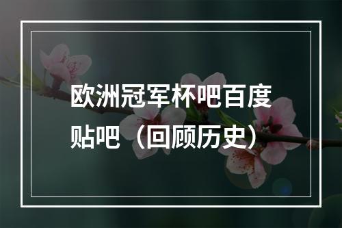 欧洲冠军杯吧百度贴吧（回顾历史）