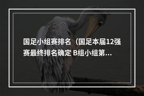 国足小组赛排名（国足本届12强赛最终排名确定 B组小组第五）