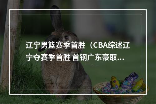 辽宁男篮赛季首胜（CBA综述辽宁夺赛季首胜 首钢广东豪取三连胜）