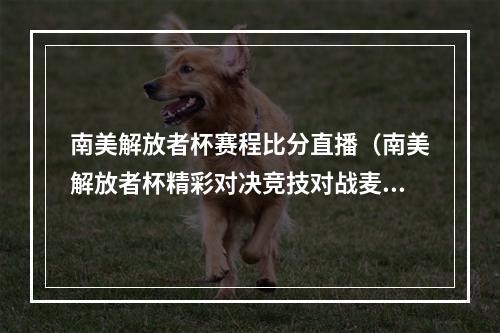 南美解放者杯赛程比分直播（南美解放者杯精彩对决竞技对战麦国民）