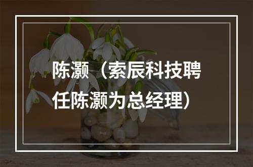 陈灏（索辰科技聘任陈灏为总经理）