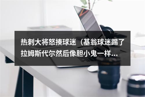 热刺大将怒揍球迷（基翁球迷踢了拉姆斯代尔然后像胆小鬼一样逃跑）