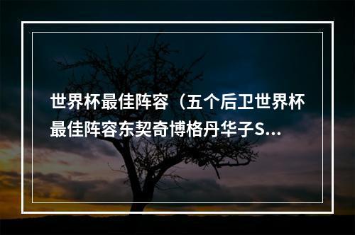 世界杯最佳阵容（五个后卫世界杯最佳阵容东契奇博格丹华子SGA小黑）