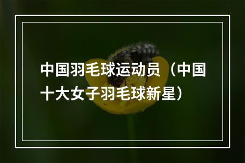 中国羽毛球运动员（中国十大女子羽毛球新星）