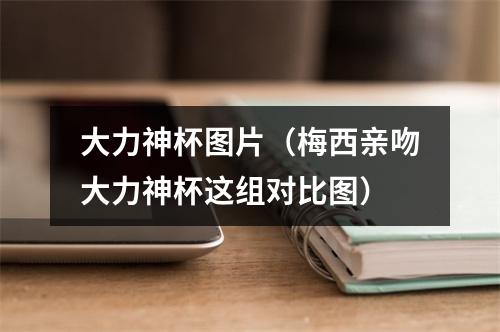 大力神杯图片（梅西亲吻大力神杯这组对比图）