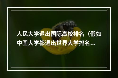 人民大学退出国际高校排名（假如中国大学都退出世界大学排名）