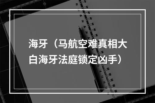 海牙（马航空难真相大白海牙法庭锁定凶手）