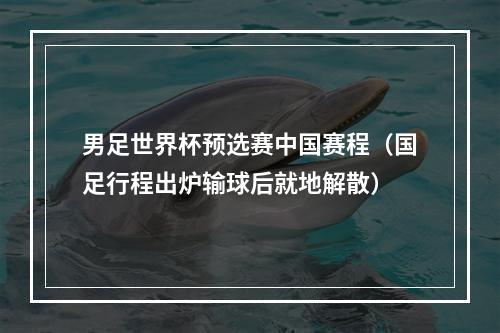 男足世界杯预选赛中国赛程（国足行程出炉输球后就地解散）