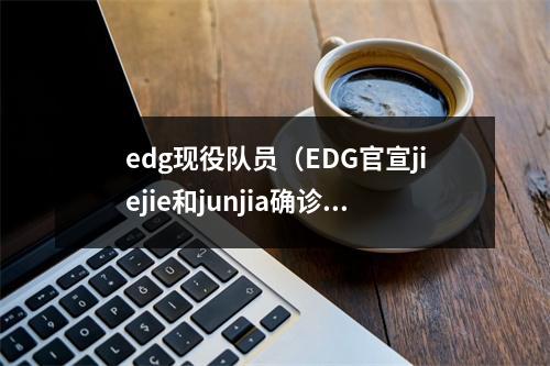 edg现役队员（EDG官宣jiejie和junjia确诊Scout转阴）
