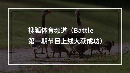 搜狐体育频道（Battle第一期节目上线大获成功）