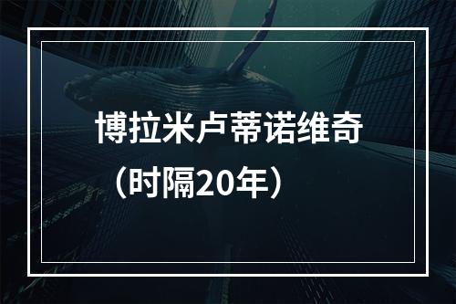 博拉米卢蒂诺维奇（时隔20年）