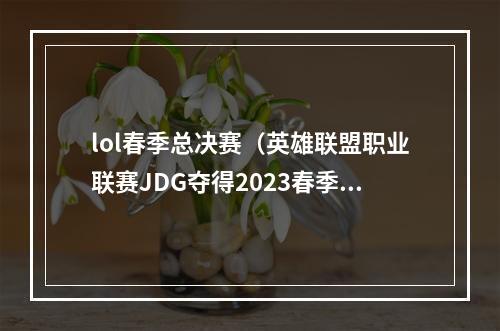 lol春季总决赛（英雄联盟职业联赛JDG夺得2023春季赛冠军）