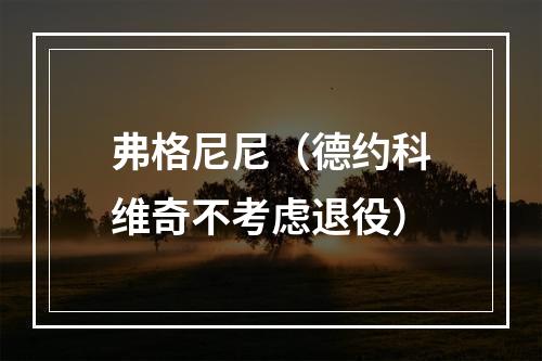 弗格尼尼（德约科维奇不考虑退役）