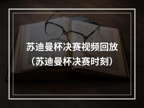 苏迪曼杯决赛视频回放（苏迪曼杯决赛时刻）