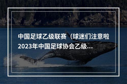 中国足球乙级联赛（球迷们注意啦2023年中国足球协会乙级联赛第十九轮赛事交通引导提示请查收）
