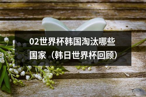 02世界杯韩国淘汰哪些国家（韩日世界杯回顾）