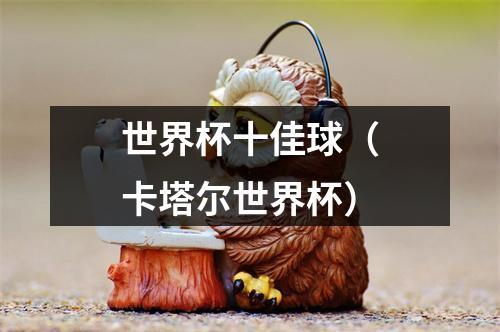 世界杯十佳球（卡塔尔世界杯）