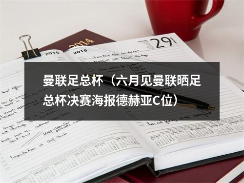 曼联足总杯（六月见曼联晒足总杯决赛海报德赫亚C位）