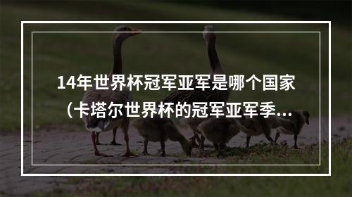 14年世界杯冠军亚军是哪个国家（卡塔尔世界杯的冠军亚军季军和殿军）