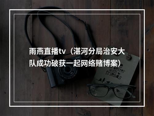 雨燕直播tv（湛河分局治安大队成功破获一起网络赌博案）
