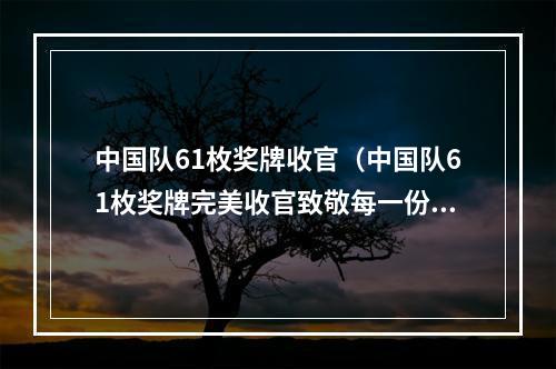 中国队61枚奖牌收官（中国队61枚奖牌完美收官致敬每一份拼搏和努力）