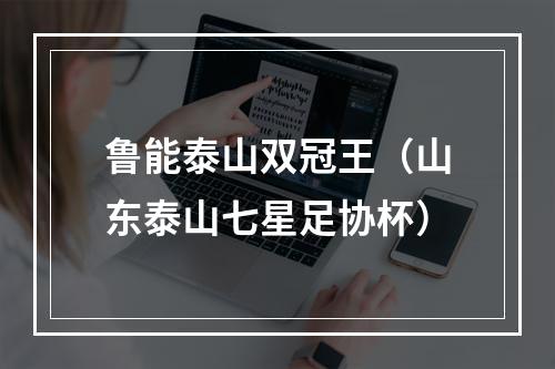 鲁能泰山双冠王（山东泰山七星足协杯）