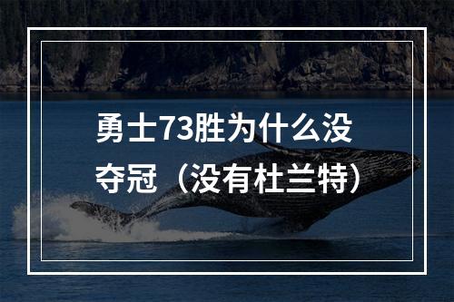 勇士73胜为什么没夺冠（没有杜兰特）