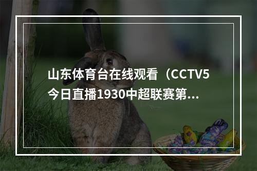 山东体育台在线观看（CCTV5今日直播1930中超联赛第12轮武汉三镇山东泰山）