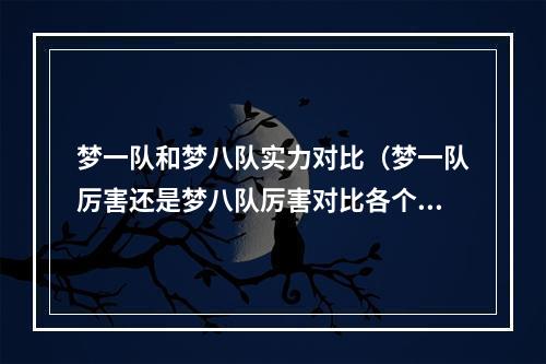 梦一队和梦八队实力对比（梦一队厉害还是梦八队厉害对比各个位置球员是关键）