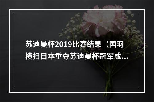 苏迪曼杯2019比赛结果（国羽横扫日本重夺苏迪曼杯冠军成就前无古人11冠伟业）