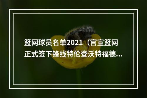 篮网球员名单2021（官宣篮网正式签下锋线特伦登沃特福德）