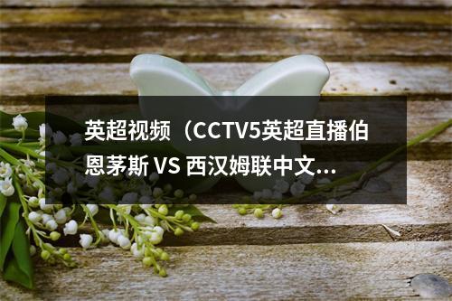 英超视频（CCTV5英超直播伯恩茅斯 VS 西汉姆联中文比赛全程高清视频）