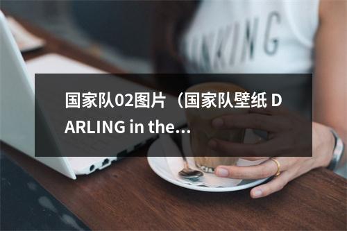 国家队02图片（国家队壁纸 DARLING in the FRANXX高清壁纸 02壁纸）