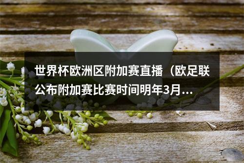世界杯欧洲区附加赛直播（欧足联公布附加赛比赛时间明年3月25日进行半决赛）
