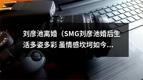 刘彦池离婚（SMG刘彦池婚后生活多姿多彩 虽情感坎坷如今收获甜美婚姻）