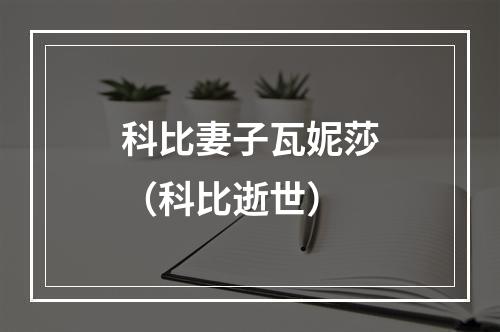 科比妻子瓦妮莎（科比逝世）
