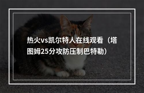 热火vs凯尔特人在线观看（塔图姆25分攻防压制巴特勒）