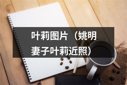 叶莉图片（姚明妻子叶莉近照）