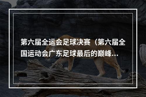 第六届全运会足球决赛（第六届全国运动会广东足球最后的巅峰之作上）