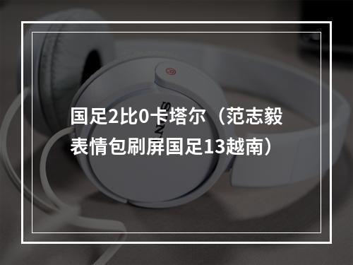 国足2比0卡塔尔（范志毅表情包刷屏国足13越南）