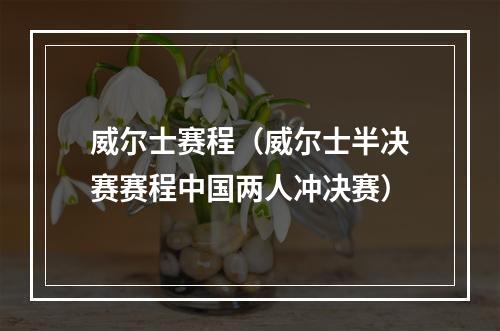 威尔士赛程（威尔士半决赛赛程中国两人冲决赛）