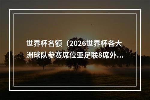 世界杯名额（2026世界杯各大洲球队参赛席位亚足联8席外加1个附加赛名额）