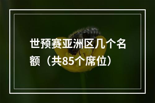 世预赛亚洲区几个名额（共85个席位）