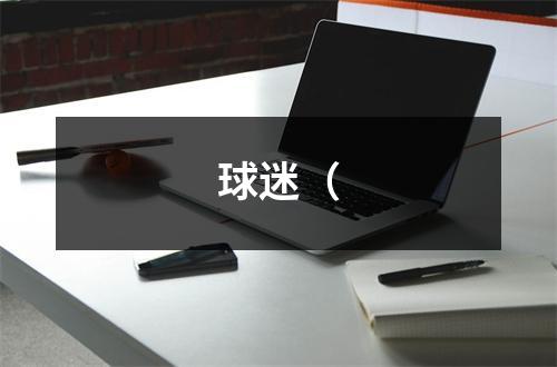 球迷（