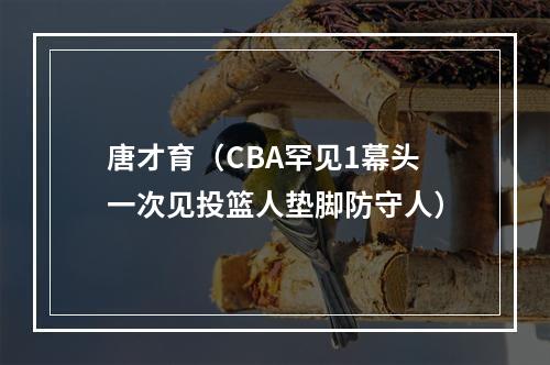 唐才育（CBA罕见1幕头一次见投篮人垫脚防守人）