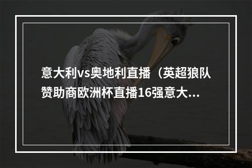 意大利vs奥地利直播（英超狼队赞助商欧洲杯直播16强意大利VS奥地利）