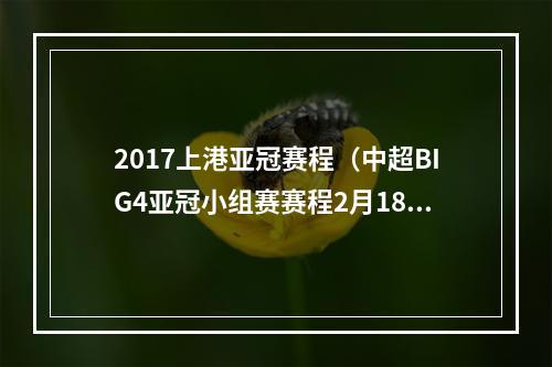 2017上港亚冠赛程（中超BIG4亚冠小组赛赛程2月18日首战）